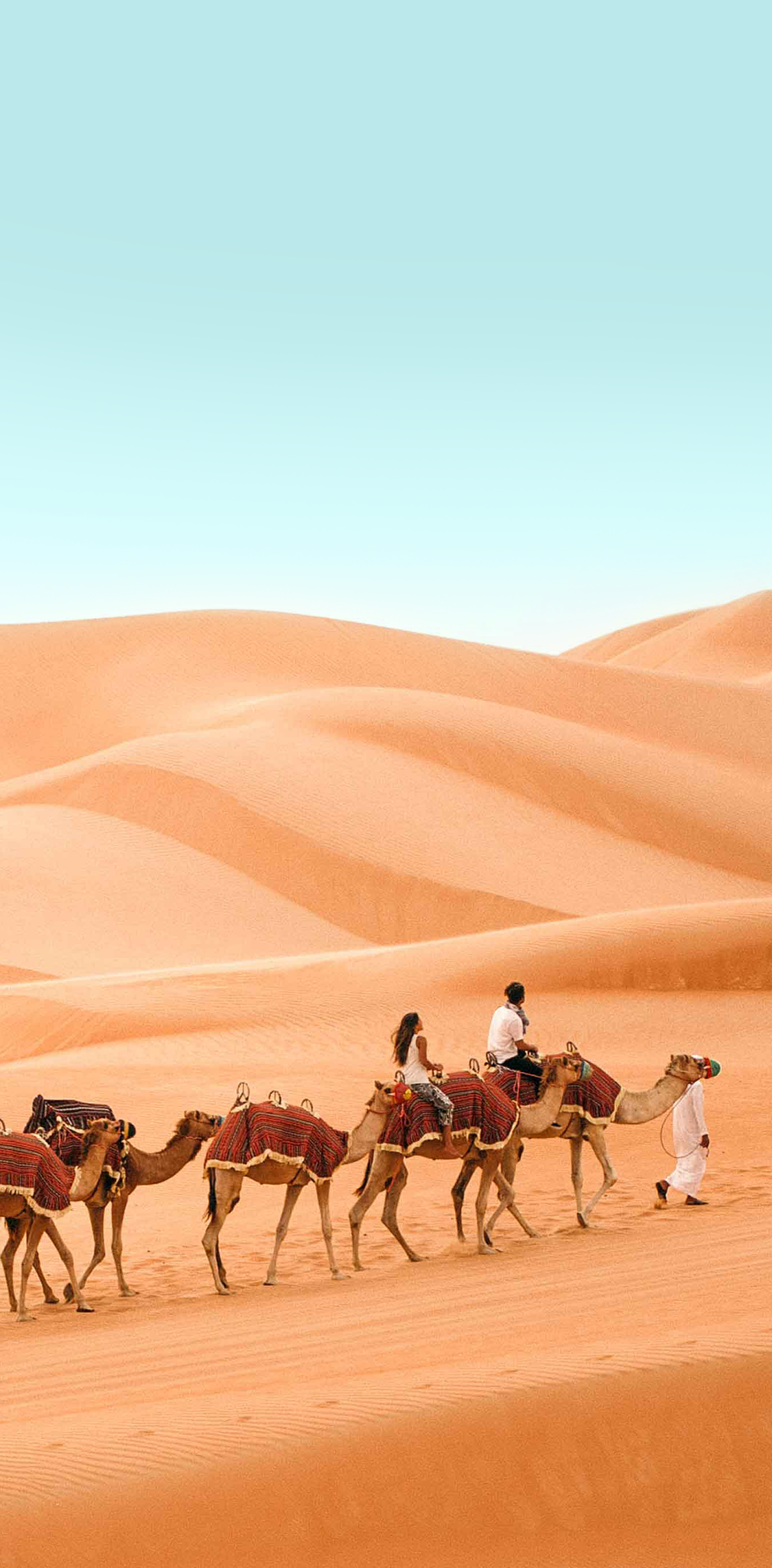 A group of camels, led by a guide, traverse the golden sand dunes of Qasr Al Sarab Desert in Abu Dhabi